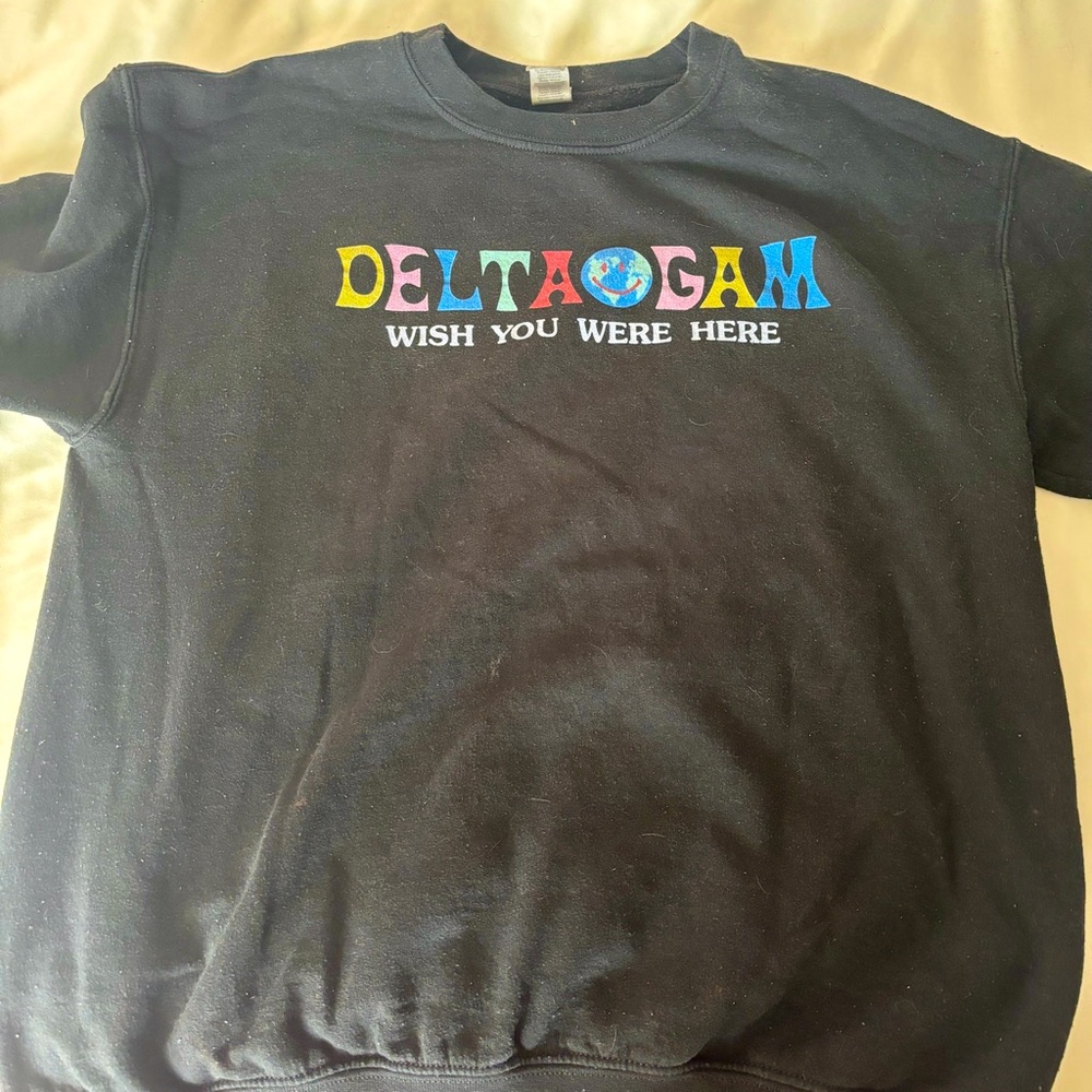 Delta Gamma Sorority Sweatshirt